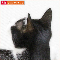 虫さん、ピンチ!_a0389088_19323047.jpg