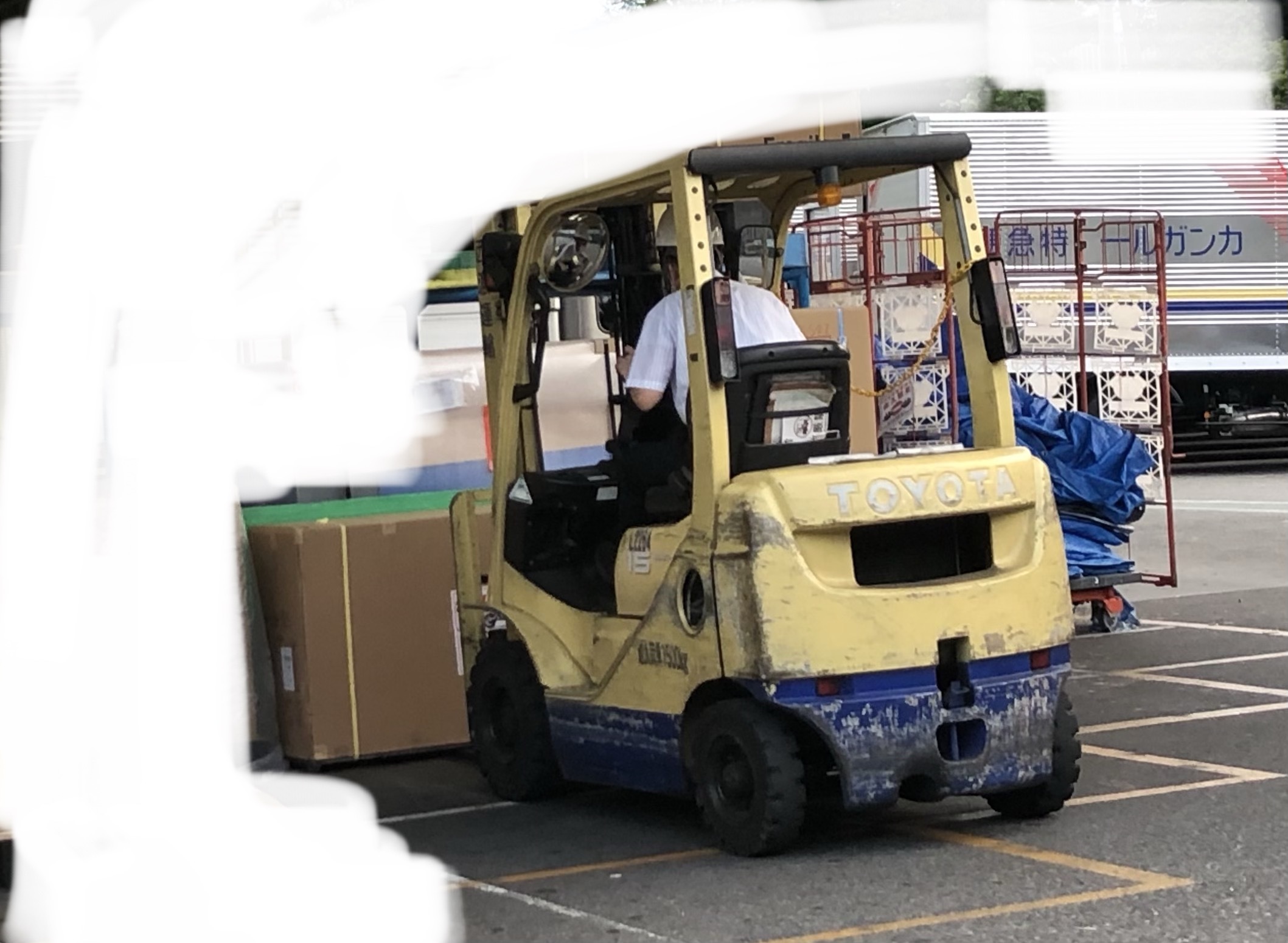 中華ダックスを買いました。 : 煩雑徒然箱