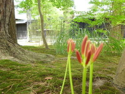 軸がぶれない_e0135219_14454201.jpg