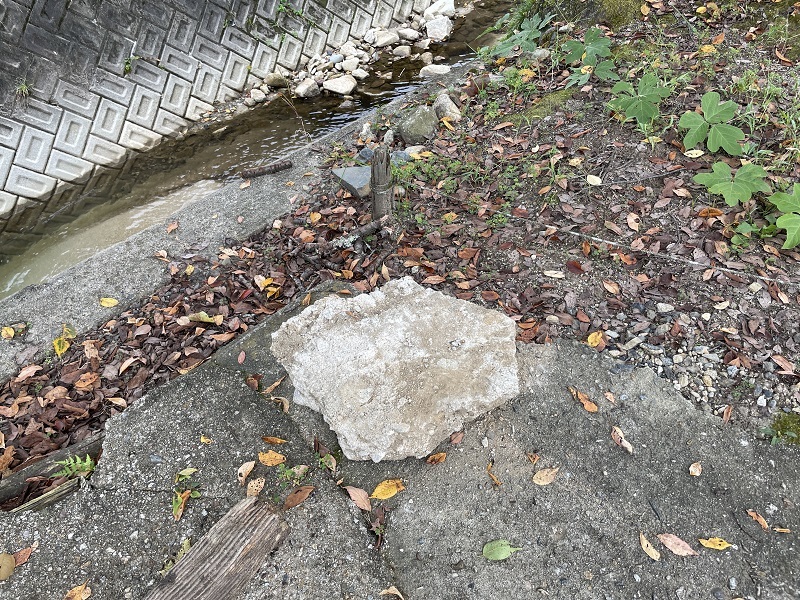 犬の目線と犯罪の臭い_f0076731_17543525.jpg