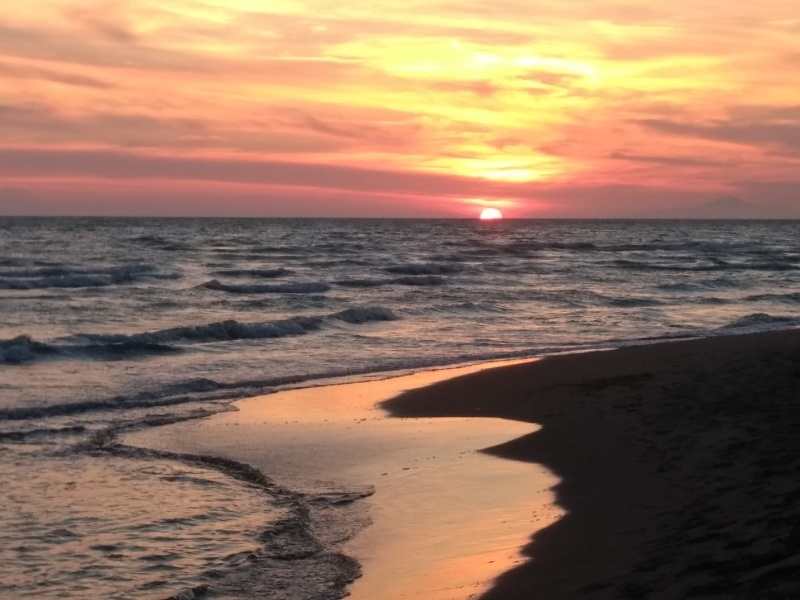 海で泳ぎ夕日を愛でて今日はトレッキング_f0234936_16292531.jpg