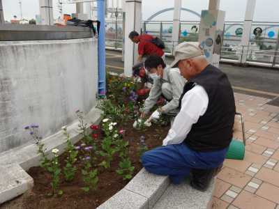 名古屋港水族館前花壇の植栽R3.9.8_d0338682_09295482.jpg