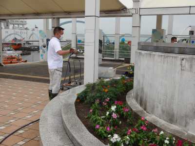 名古屋港水族館前花壇の植栽R3.9.8_d0338682_09364824.jpg