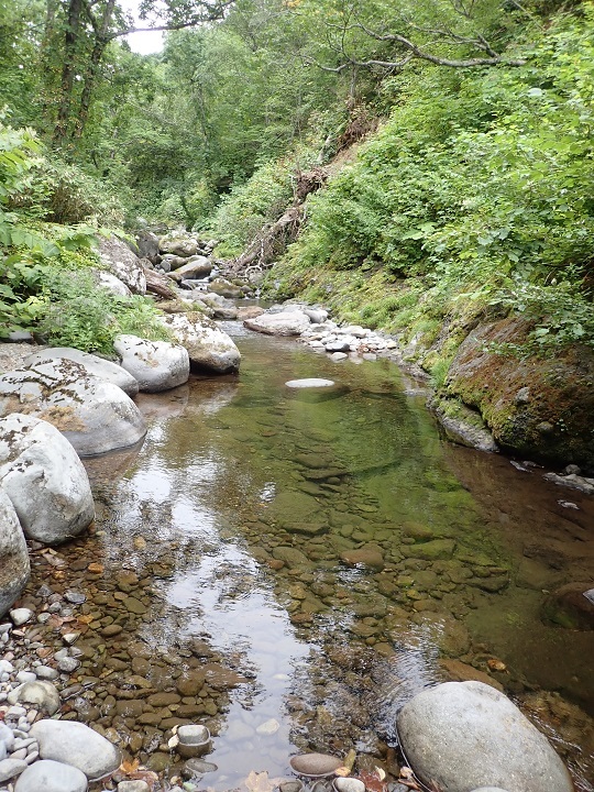 群別川 沢登一泊!_d0198793_15242931.jpg