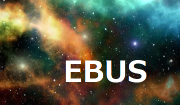 EBUS-TBBにおける予防的抗菌薬は意味があるか？_e0156318_21123877.png