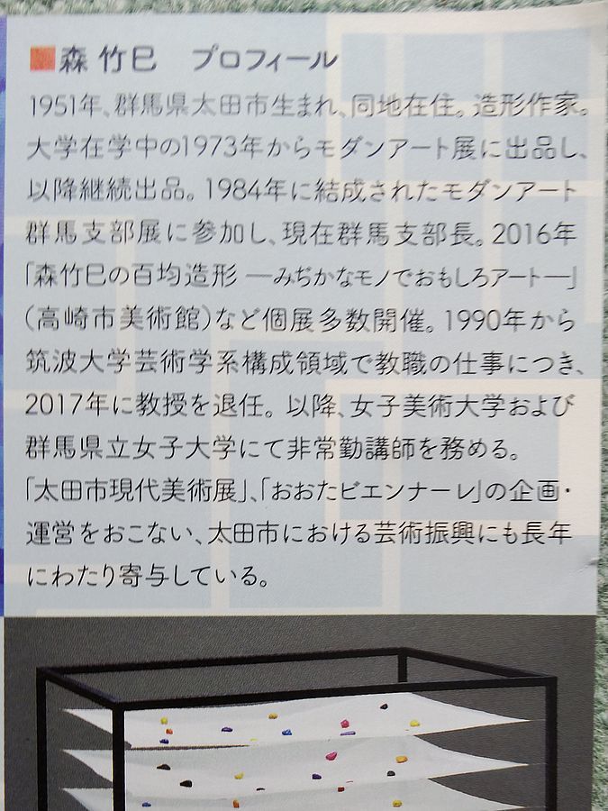 造形美って・・・♪・・・太田市美術館・図書館で不思議な展覧会が♪_a0031821_09320994.jpg