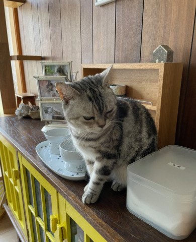 今朝のひととき_b0340621_16443932.jpeg
