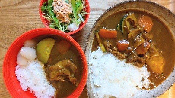 カレーライス弁当と歯車_d0359935_06235261.jpg