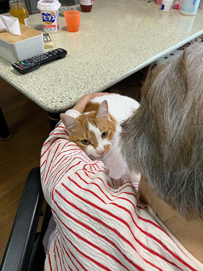 バーバちゃんに捕まった!_a0028451_12450907.jpg
