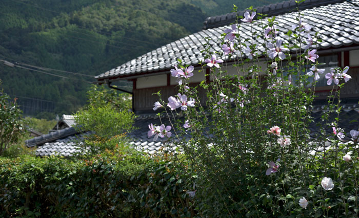 大原から江文神社への道 そして「平家物語」大原御幸の道を探る_c0406666_10462279.jpg