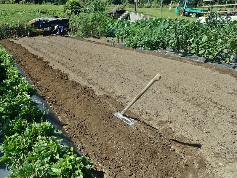 家庭菜園ではようやくダイコンなど秋冬野菜の種まきをしてもらいました 浦佐地域づくり協議会のブログ 家庭菜園ではようやくダイコンなど秋冬野菜の種まきをしてもらいました 浦佐地域づくり協議会のブログ