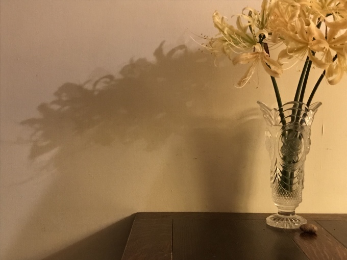 影_d0101846_18542528.jpeg