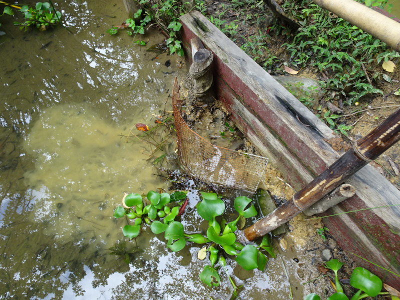 ビオトープ水漏れチェック_c0108460_19513176.jpg