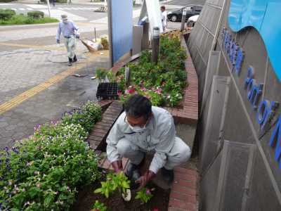 ガーデンふ頭総合案内所前花壇の植替えR3.9.13_d0338682_16173173.jpg