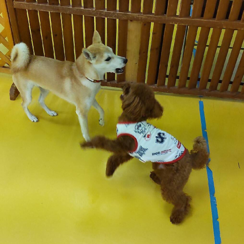 保育園ブログ(*^▽^*)_f0357682_23063058.jpg