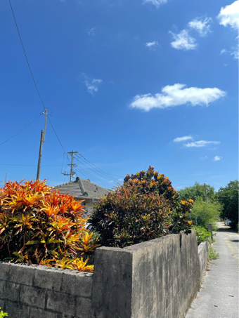 京都 個展のお知らせです!_c0176406_17461325.jpg