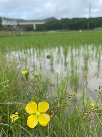 京都 個展のお知らせです!_c0176406_17471242.jpg