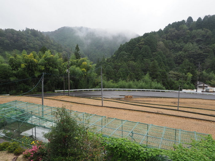 曇りのち雨_c0116915_23035778.jpg