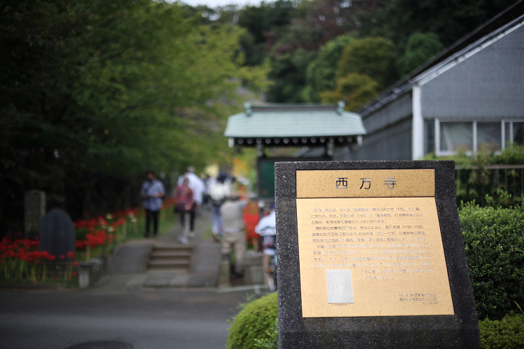 中秋の横浜 －西方寺（前編）－_b0169330_19172455.jpg