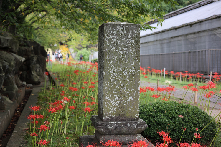 中秋の横浜 －西方寺（前編）－_b0169330_19174520.jpg