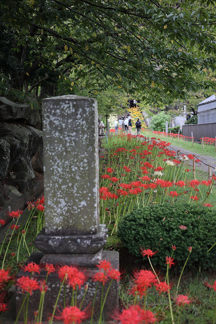 中秋の横浜 －西方寺（前編）－_b0169330_19174580.jpg