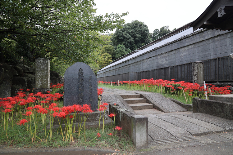 中秋の横浜 －西方寺（前編）－_b0169330_19242709.jpg