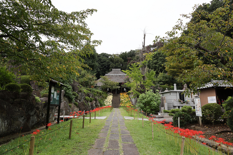 中秋の横浜 －西方寺（前編）－_b0169330_20593394.jpg