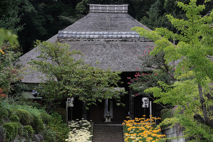 中秋の横浜 －西方寺（前編）－_b0169330_22585854.jpg