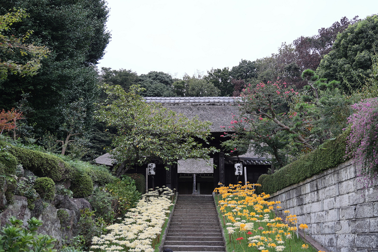 中秋の横浜 －西方寺（前編）－_b0169330_22585879.jpg