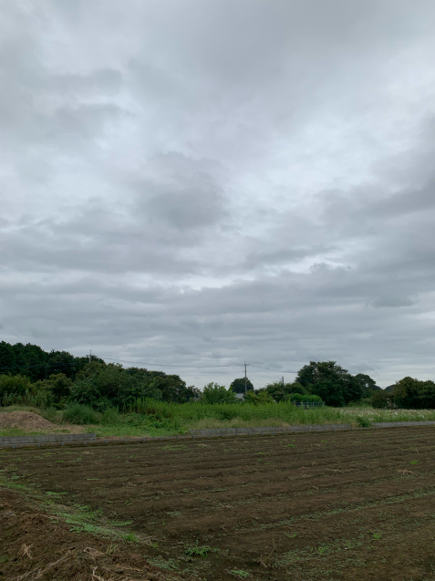 我が息子のワクチン接種1回目_c0206645_14311612.jpg