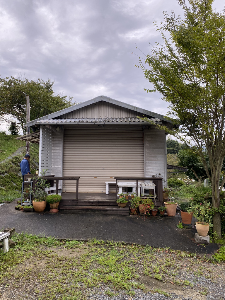 大ぶりの鉢物＆蓋付きマグカップ　〜スタジオエムの器たち〜_c0334574_19124637.jpeg