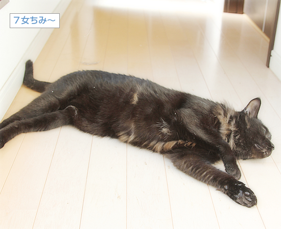 ポサ毛、公開!_a0389088_18101500.jpg