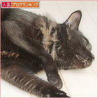 ポサ毛、公開!_a0389088_18101603.jpg