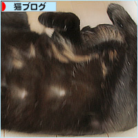 ポサ毛、公開!_a0389088_18101610.jpg