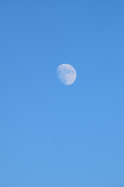 夏の終わりと月と台風の接近_d0035895_22030535.jpg
