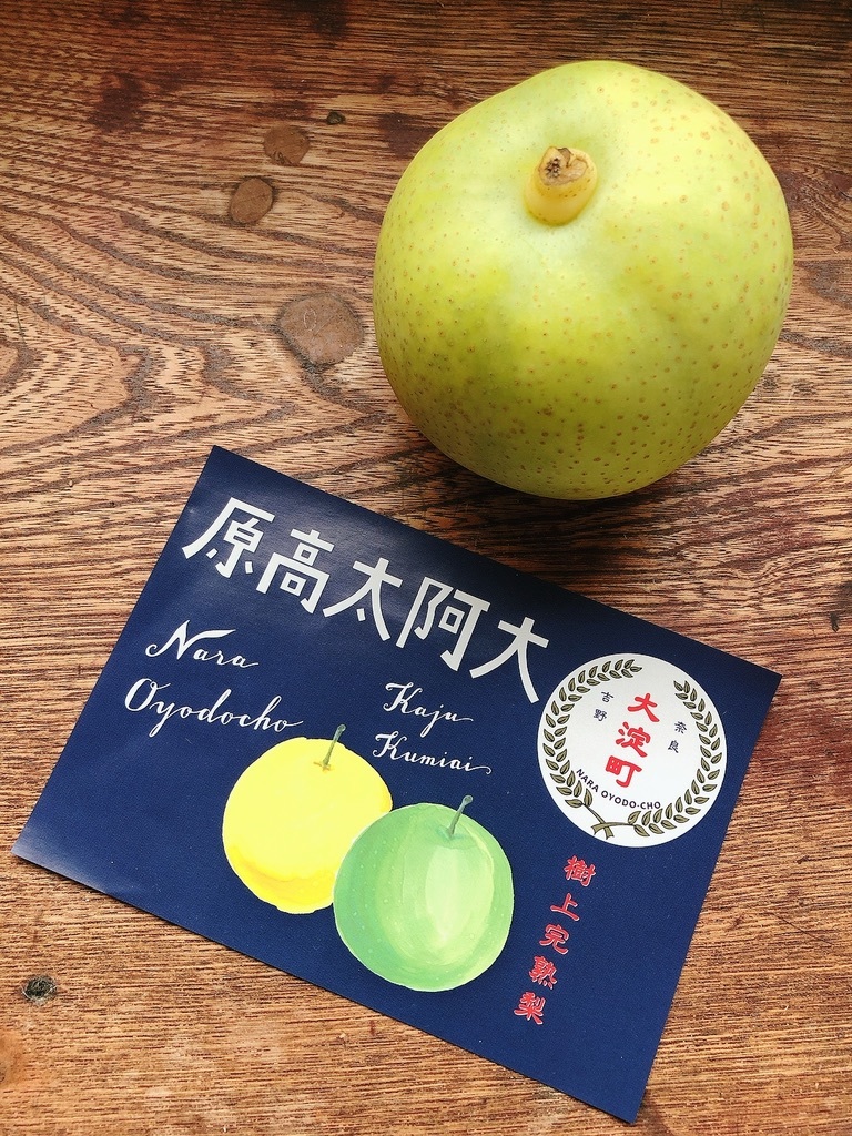 大阿太高原の二十世紀梨 2021_c0069903_08395747.jpeg