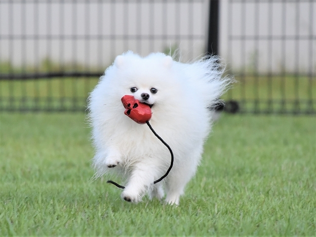 子どもの勘違い_d0360206_20563991.jpg