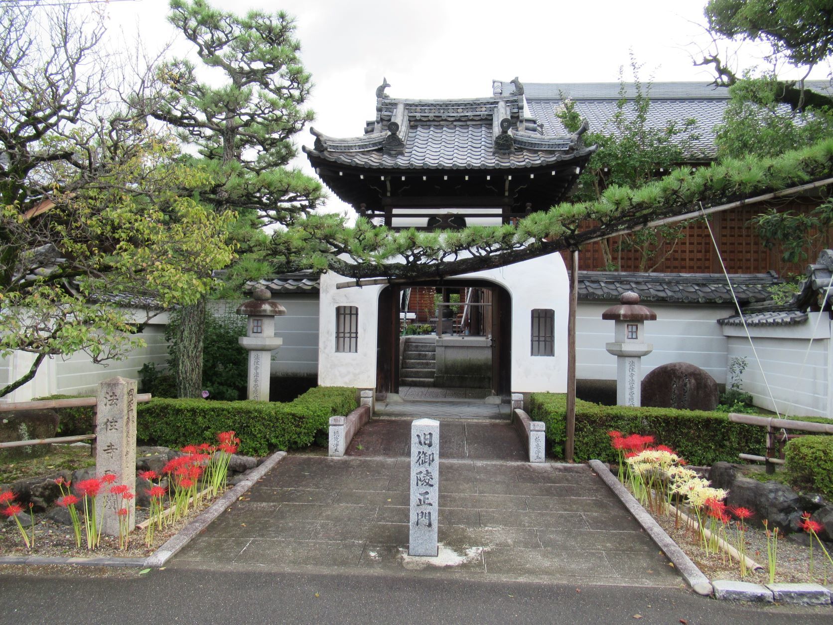 法住寺　萩もヒガンバナも盛り　_e0048413_20431840.jpg