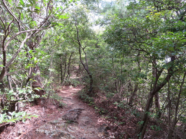 ３６０度の展望を楽しむ　三峰山 (245M)   山頂 編_d0170615_18005115.jpg