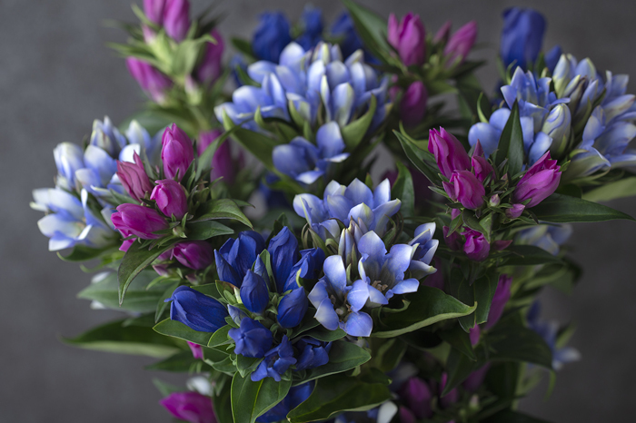 Gentian flower bouquet 02_d0092089_10083009.jpg