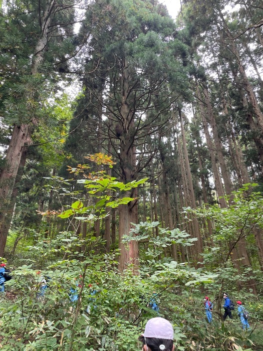 地域貢献✖️秋=登山_d0077992_10021171.jpg