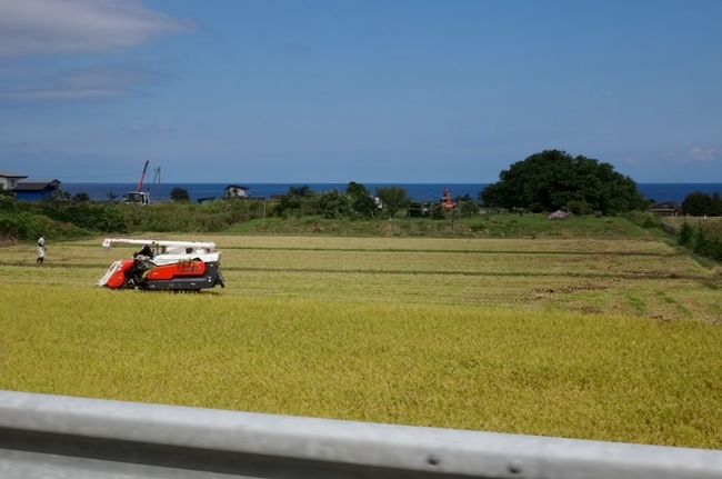 夕焼けの岩木山から、晴天の西海岸へ～♪_a0136293_16095836.jpg