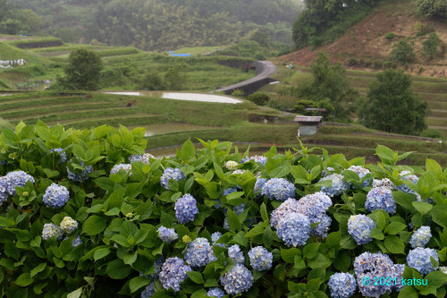 雨の下赤坂_e0366896_17320010.jpg