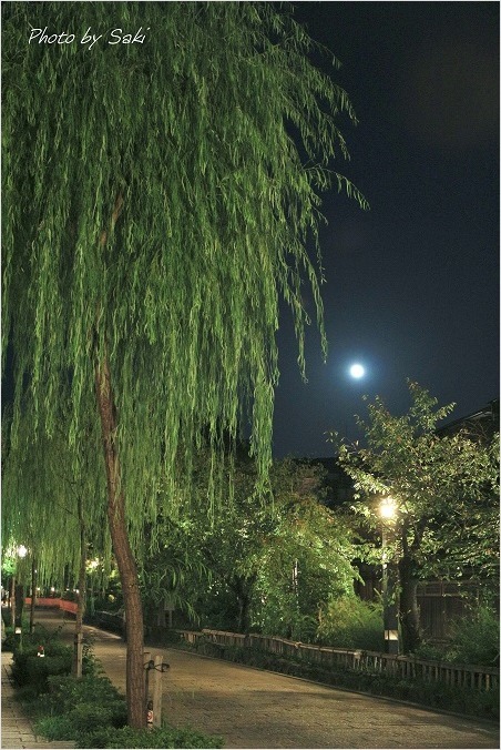 月夜り団子。_b0311208_16422323.jpg