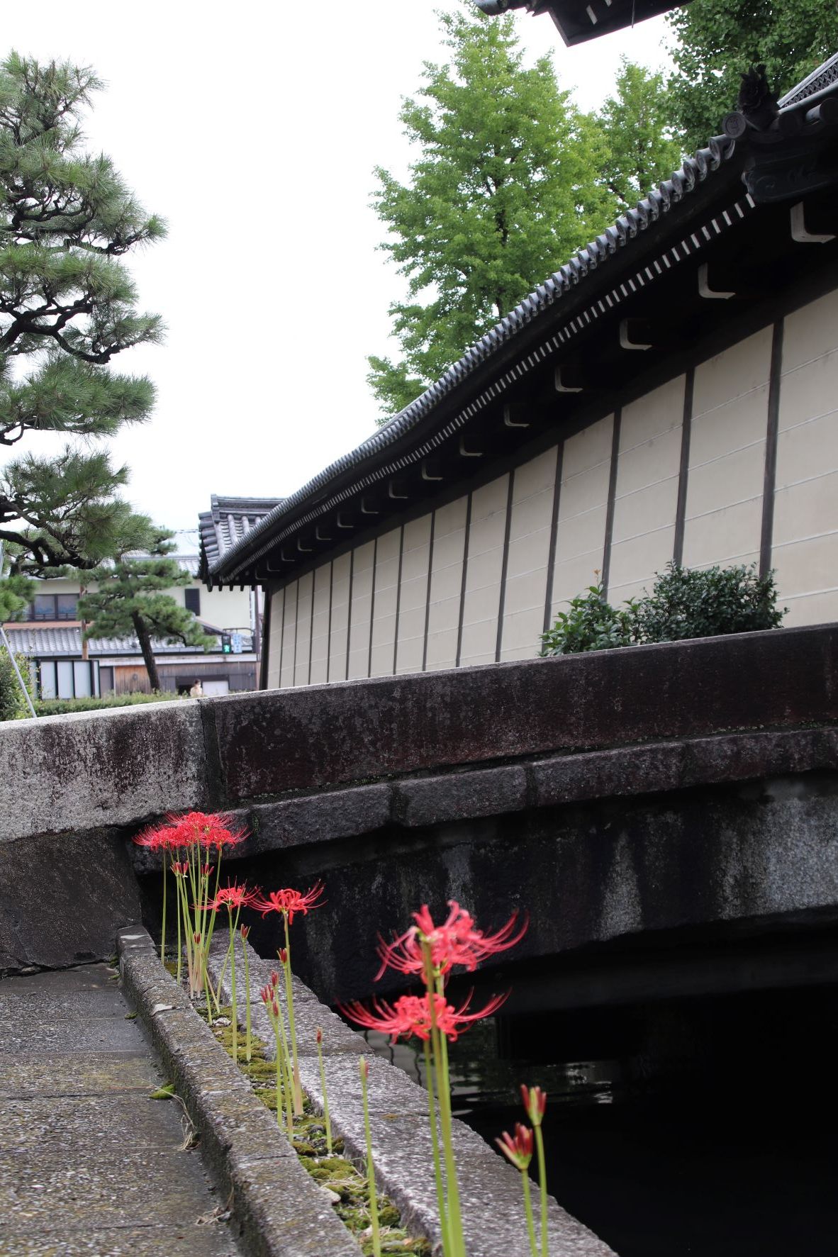 東本願寺　なまこ壁と彼岸花_e0048413_21083630.jpg