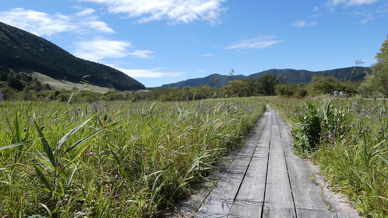 箱根湿性花園からポーラ美術館へ_b0074416_23261004.jpg
