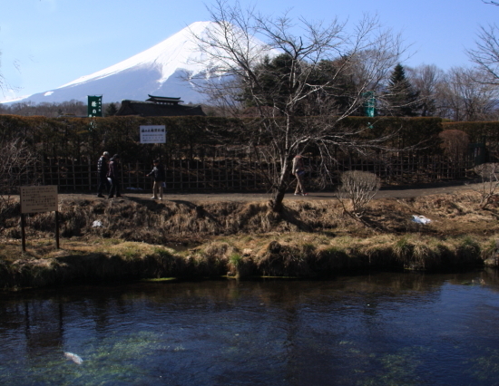 国の天然記念物に指定た透明な湧き水と富士山と美しい日本の風_a0113718_23572569.jpg