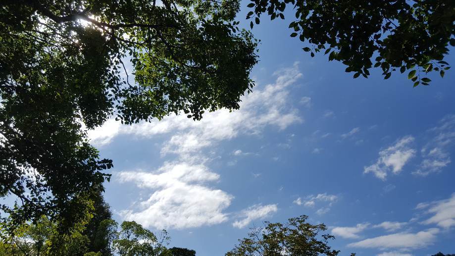 Took a walk..._f0126121_14582375.jpg