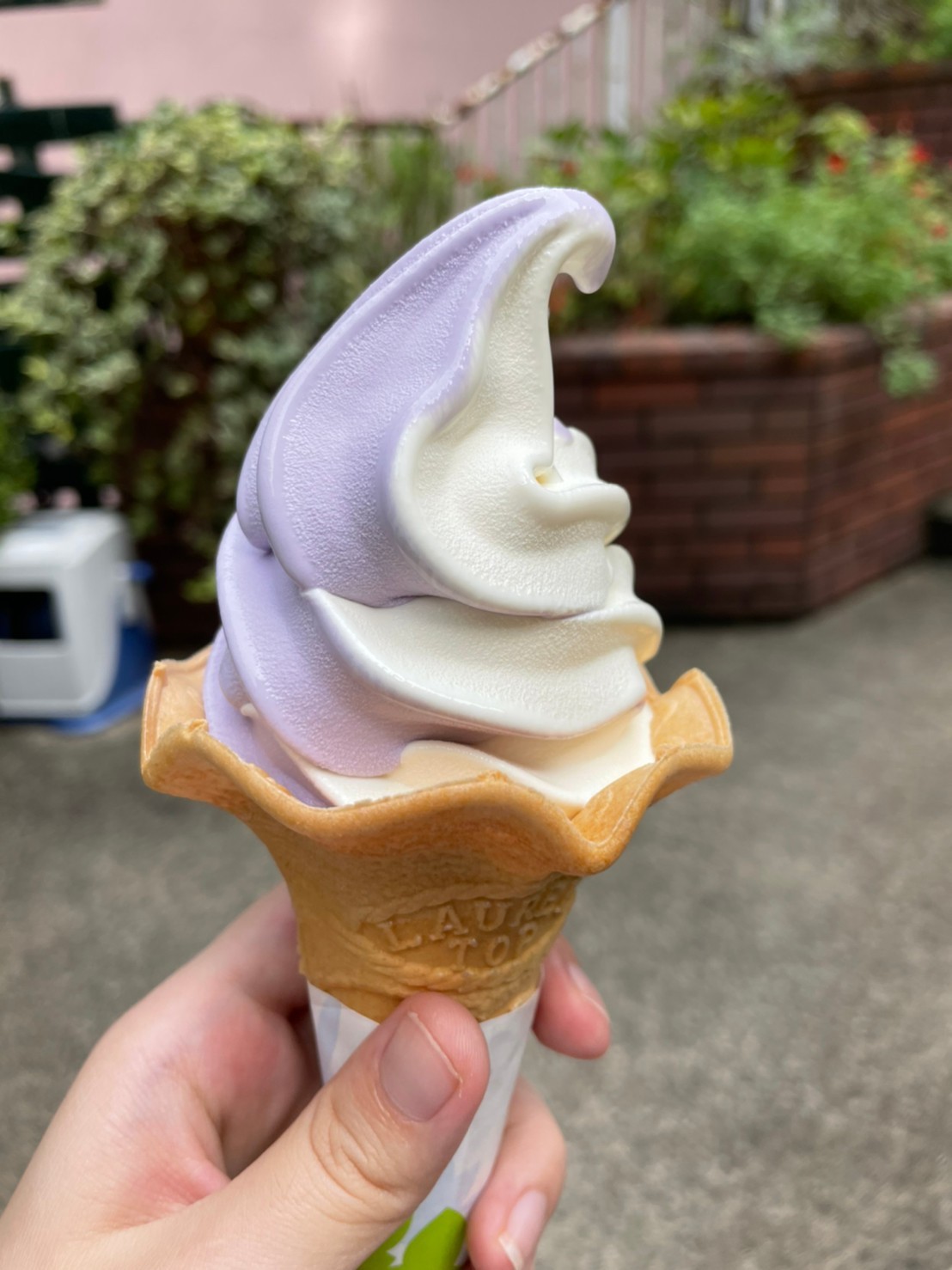夏の思い出にアカオハーブ&ローズガーデンに_d0390236_13114451.jpg
