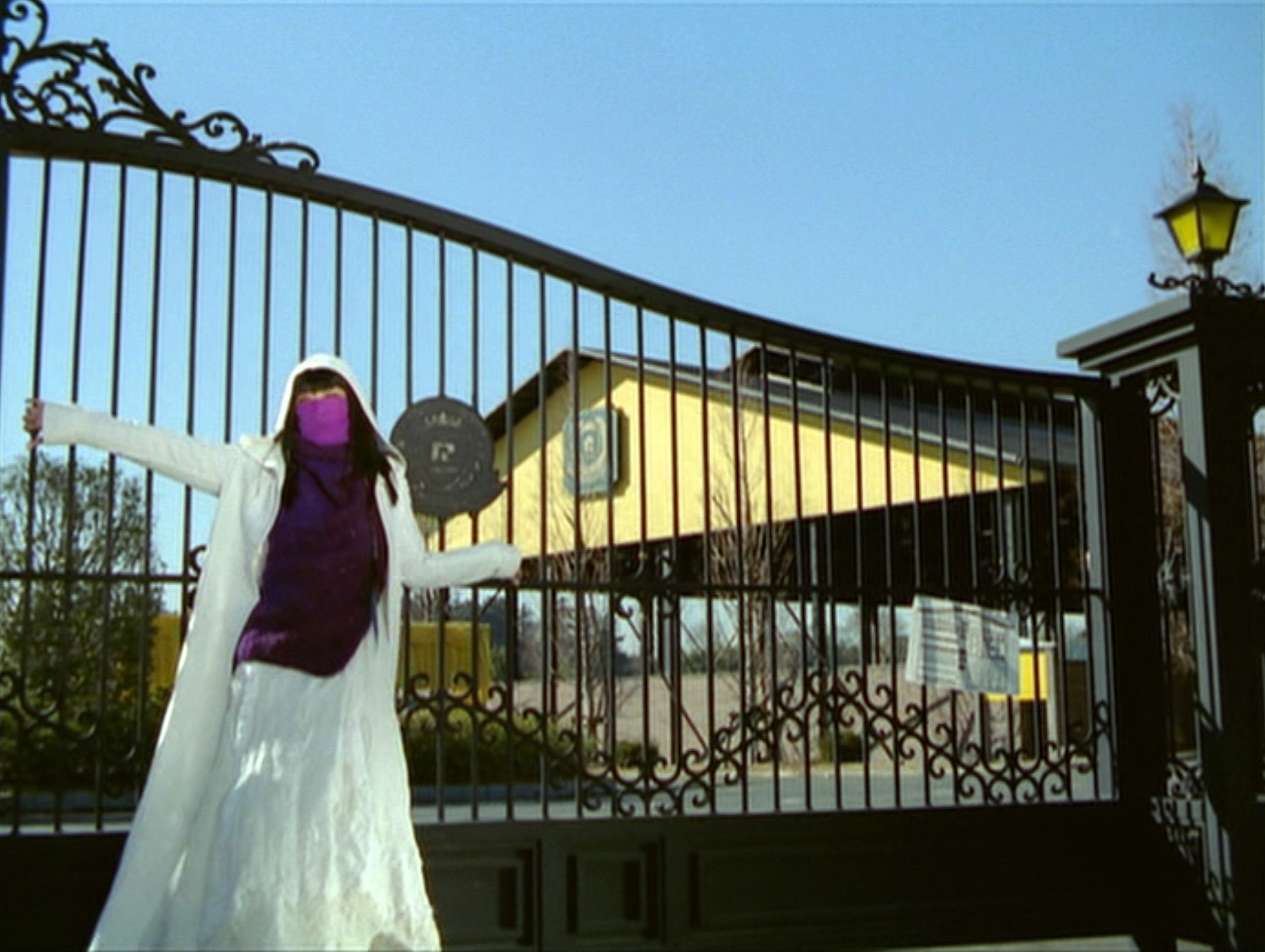 山口小夜子(Sayoko Yamaguchi)「ピストルオペラ」(2001)其の壱_e0042361_21181891.jpg